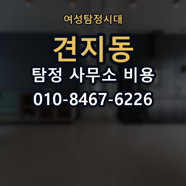 견지동 탐정 사무소 비용 상담 시 받아보면 좋은 정보