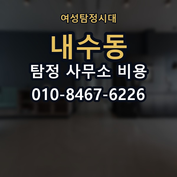 내수동 탐정 사무소 비용 범위는 어떻게 정해질까