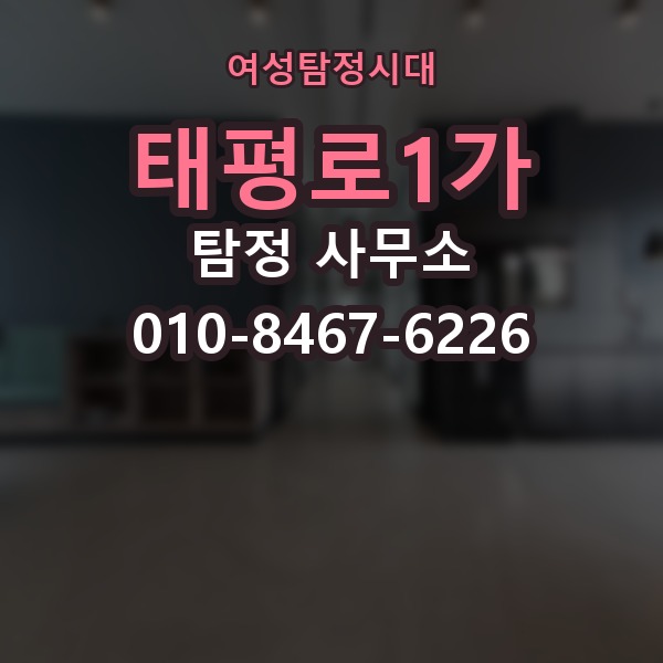 태평로1가 탐정 사무소 상담 준비부터 진행까지 한눈에