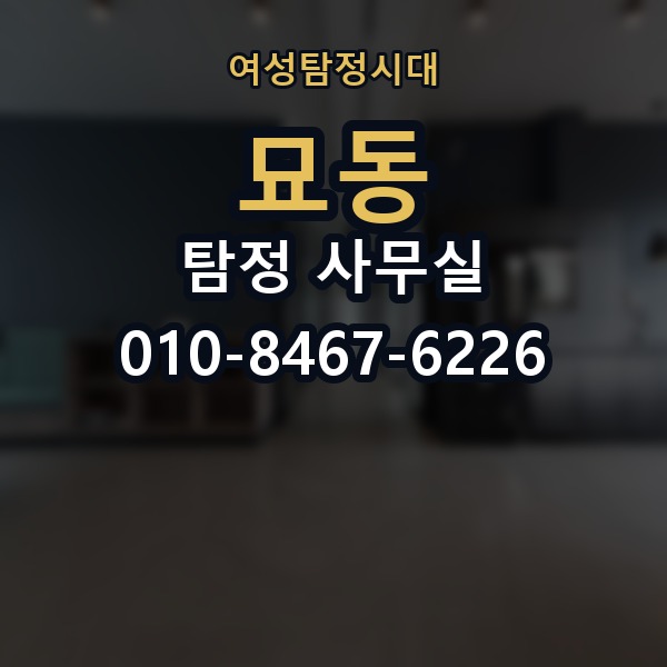 묘동 탐정 사무실 선임 뒤 진행 상황을 확인하는 방식