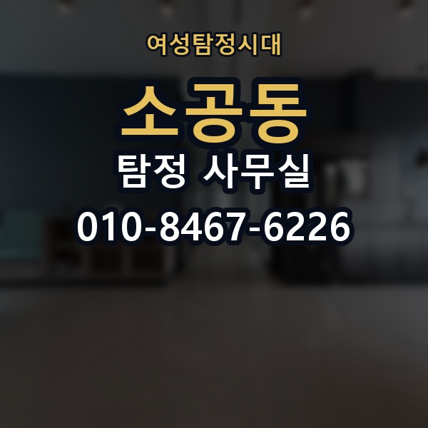 소공동 탐정 사무실 선임 후 조사는 어떻게 진행되나