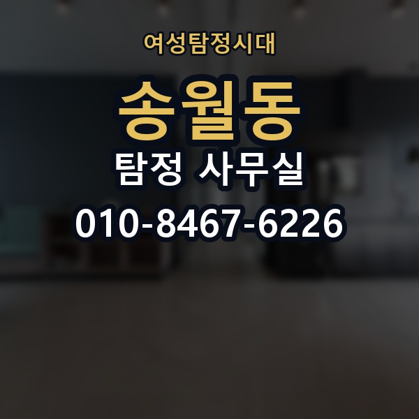 송월동 탐정 사무실 사건별 맞춤 조사 계획 세우는 기준