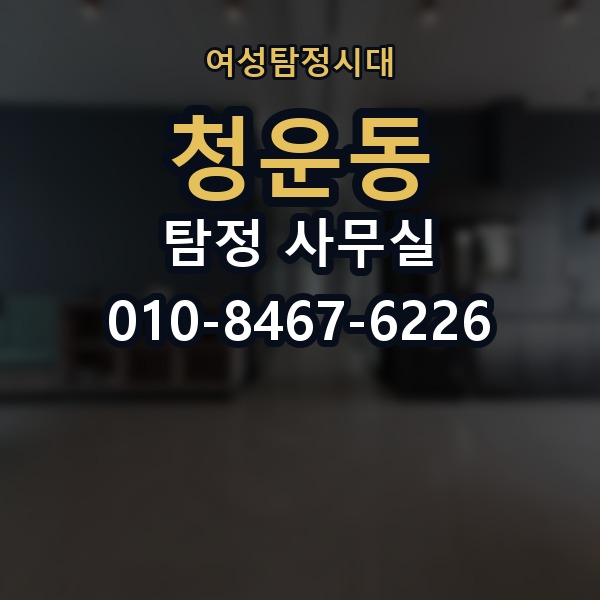 청운동 탐정 사무실 사생활 침해를 피하는 합법 조사 원칙