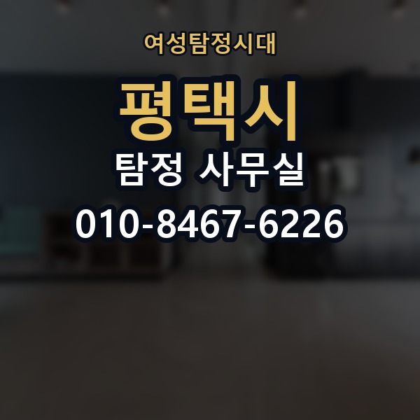 평택시 탐정 사무실 의뢰인 진술과 객관 자료를 맞추는 법