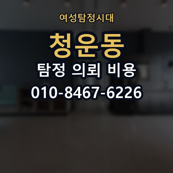 청운동 탐정 의뢰 비용 책정에 영향을 주는 항목